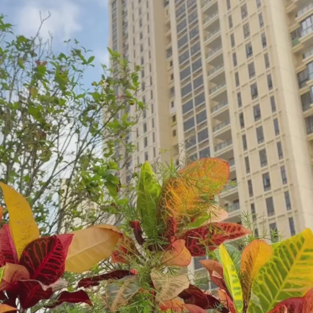 Photochromic Glasses  Anti-Blue Light & UV Protection Eyewear for Men & Women | TR90 Metal Frame | Indoor/Outdoor Color Changing Lens, MK Shift